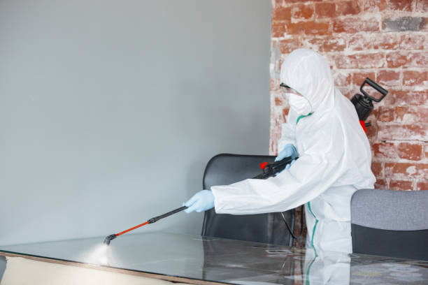 Mold Remediation for Vacation Homes in Sevierville, TN